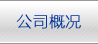 武汉城投房产集团有限公司
